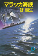 マラッカ海峡 マラッカ海峡